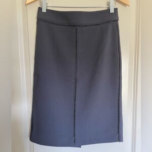 Ann Taylor Pencil Skirt